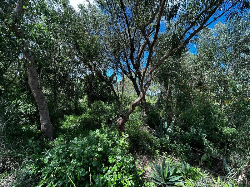 0 Bedroom Property for Sale in Summerstrand Eastern Cape